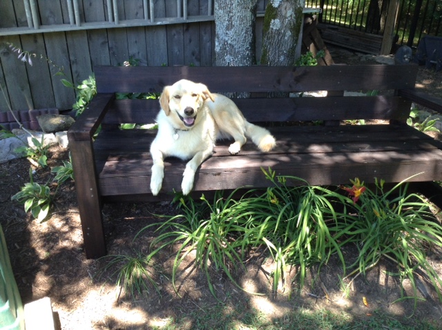 Entryway Bench Ana White