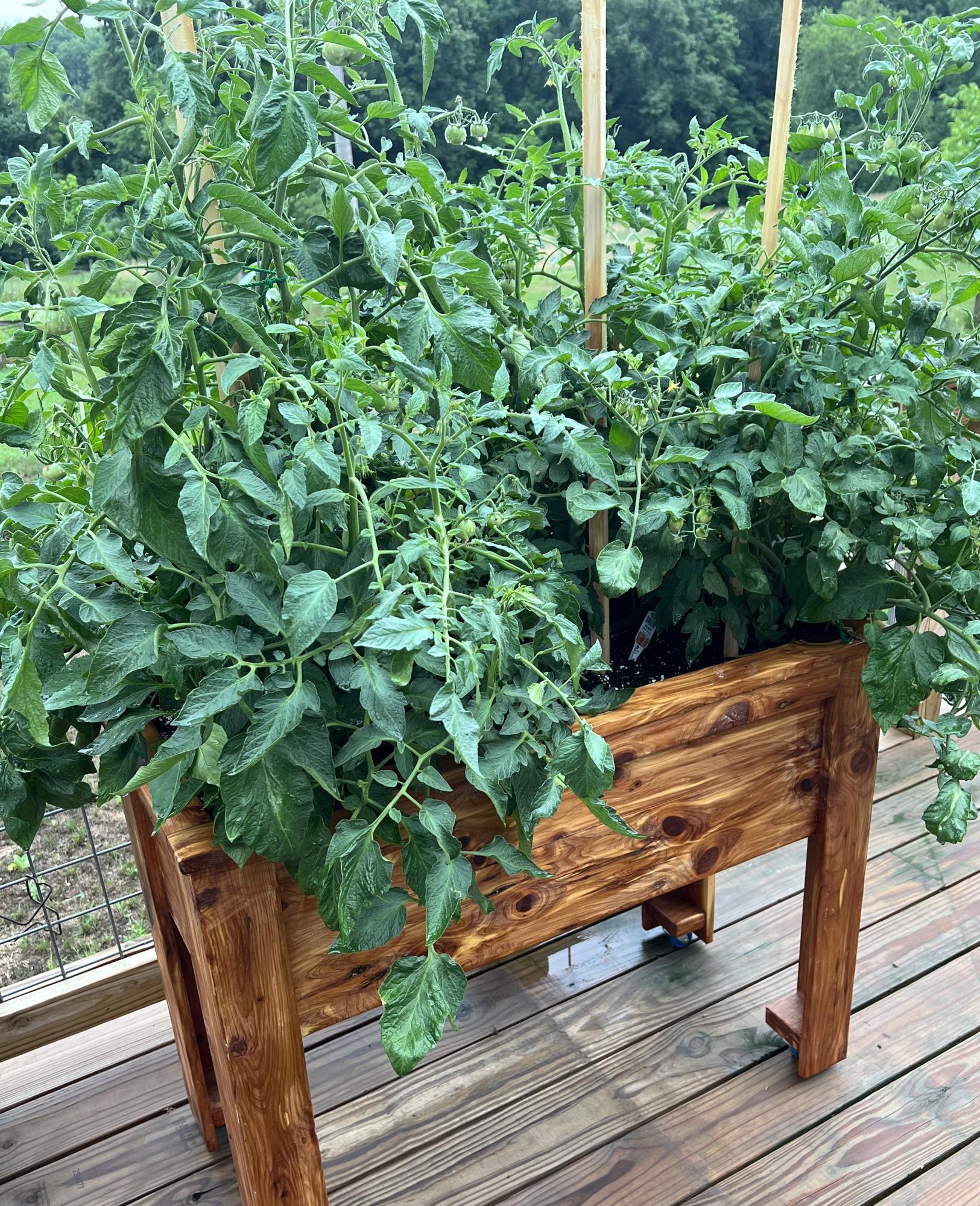 DIY Raised Garden Planter on Casters Ana White