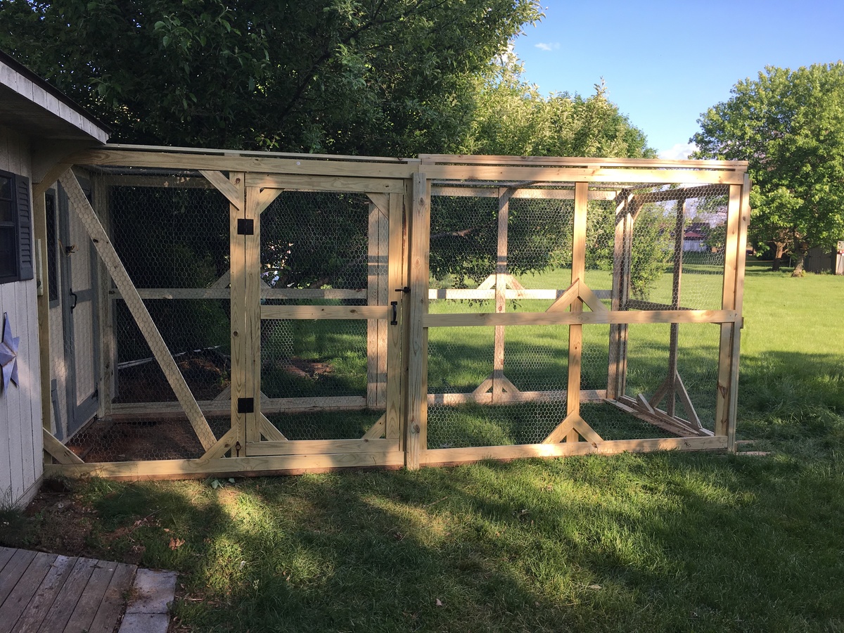 Ana White Chicken run DIY Projects