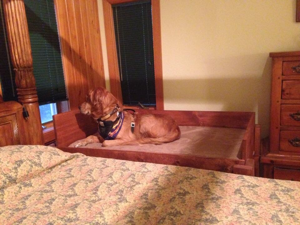 Ana White Dog bed DIY Projects
