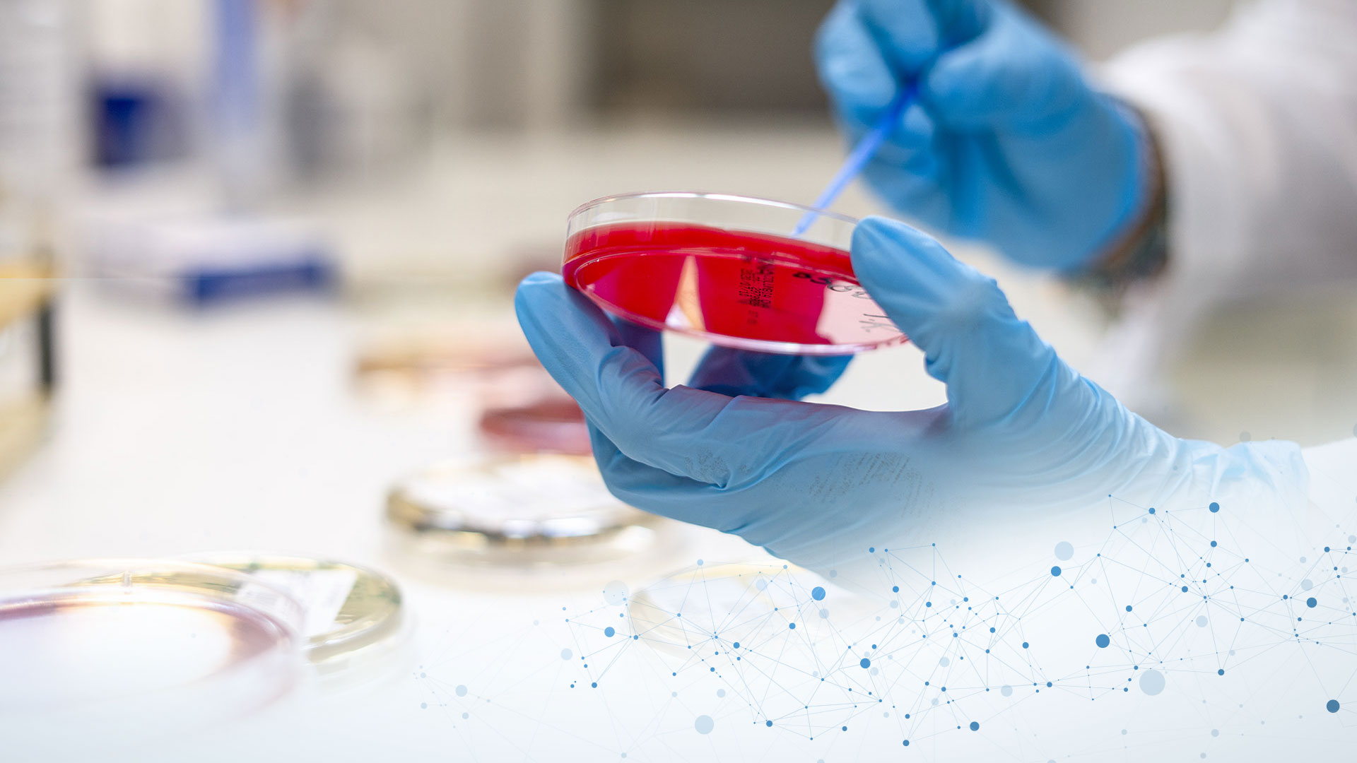 Analisi Cliniche Ibe – Il Tuo Laboratorio Di Analisi Certificato In Provincia Di Salerno A Eboli 1080_x_1920_jpg