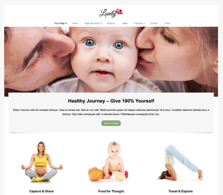 WordPress Themes Anariel Design