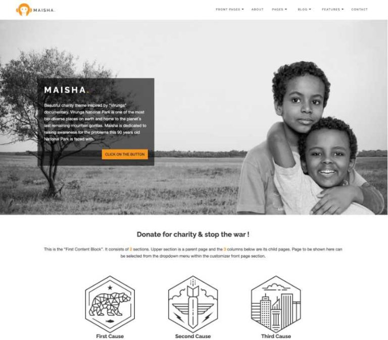 Premium WordPress Themes Anariel Design