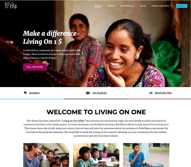 WordPress Themes Anariel Design