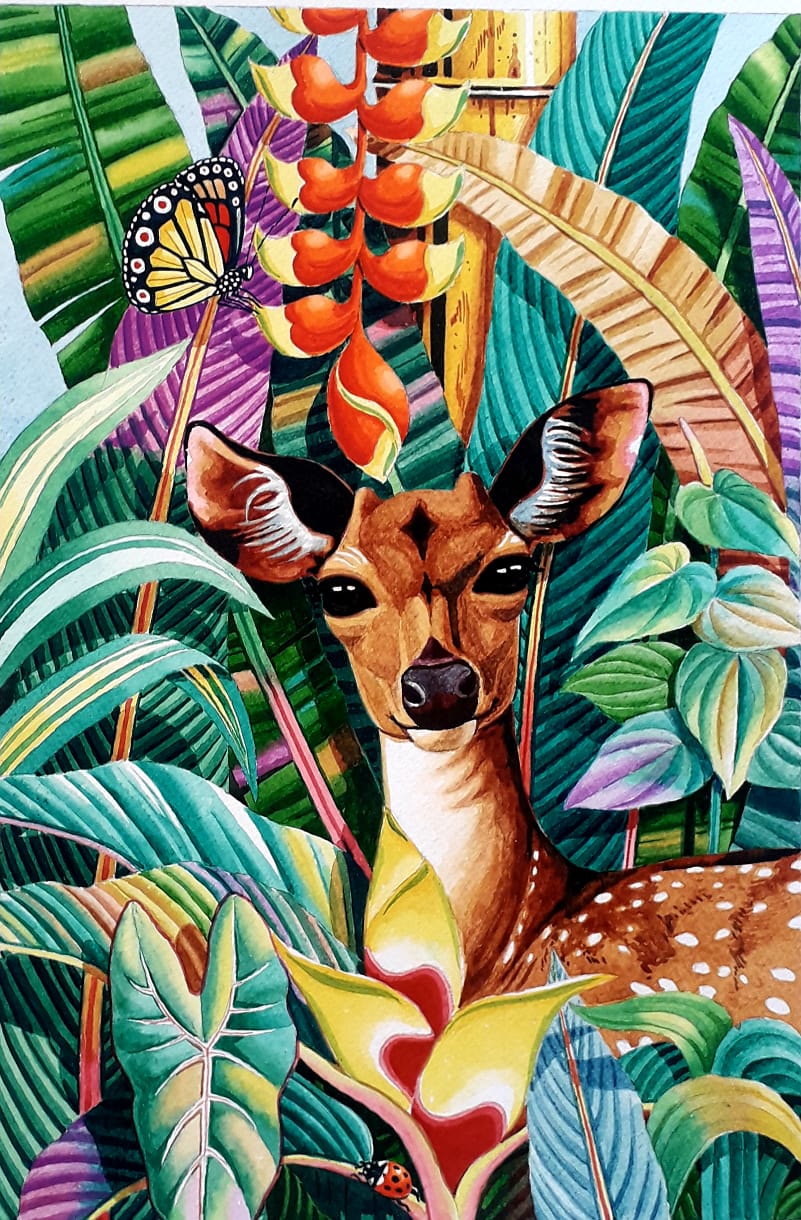 MN64M Anasha Art An Art Gallery