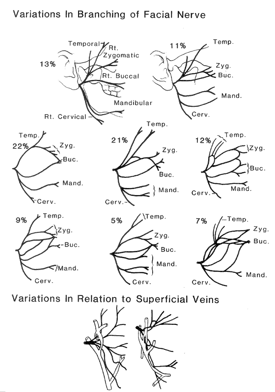 Peer Review Status Internally Peer Reviewed