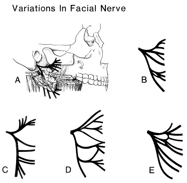 Peer Review Status Internally Peer Reviewed