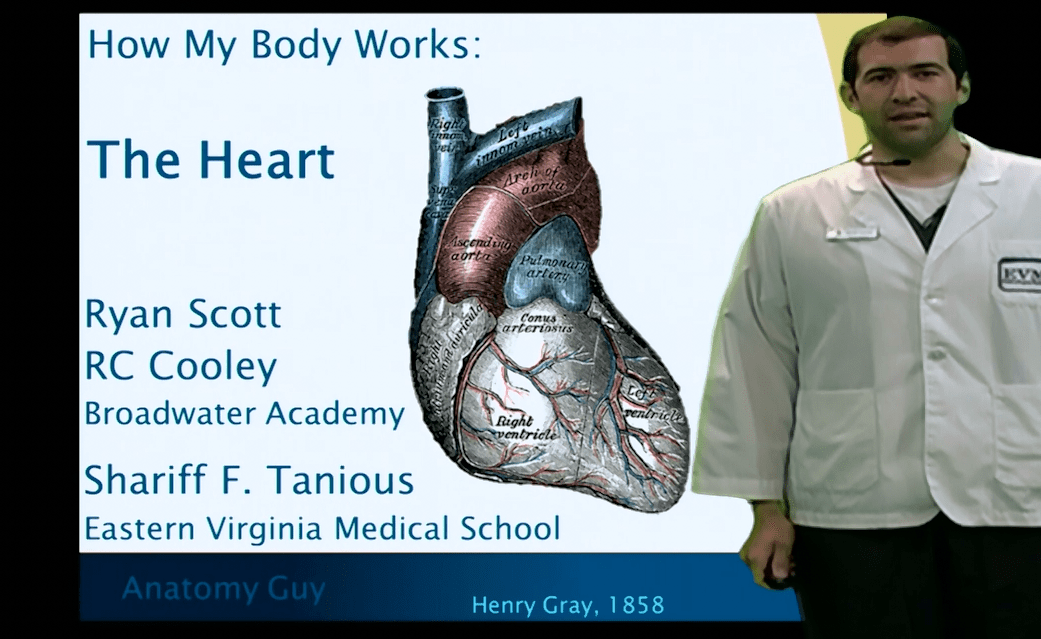 How My Body Works Series The Heart Anatomy Guy