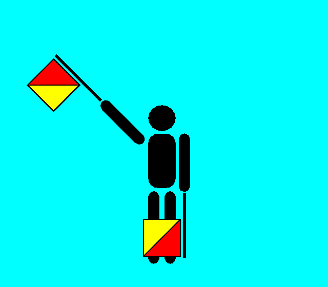 flag image