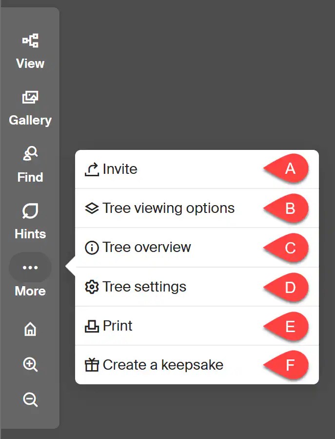 Navigating an Ancestry® Family Tree