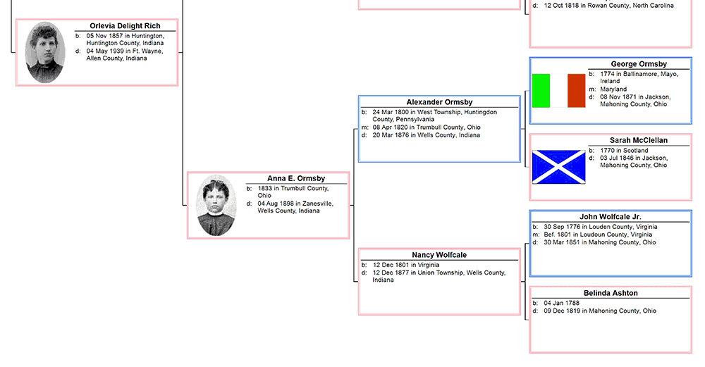 Bowtie Genealogy Charts