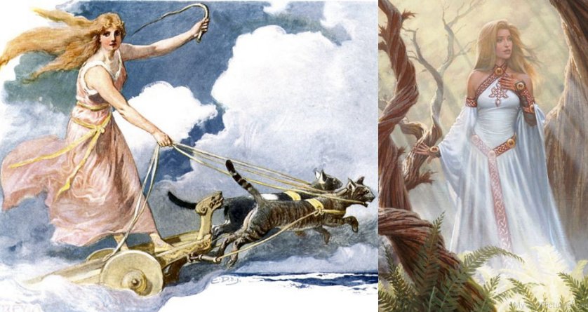 Freya Vanadis Beautiful Desirable And Favorite Goddess In Norse