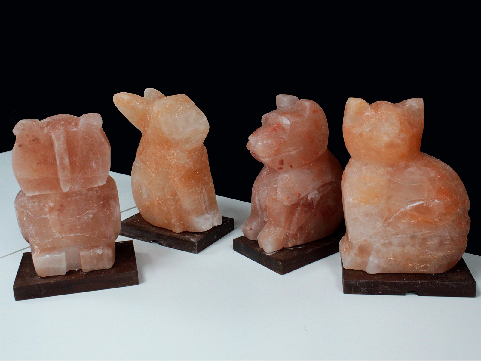 Wholesale Animal salt lamps Dog Ancient Wisdom Giftware Supplier