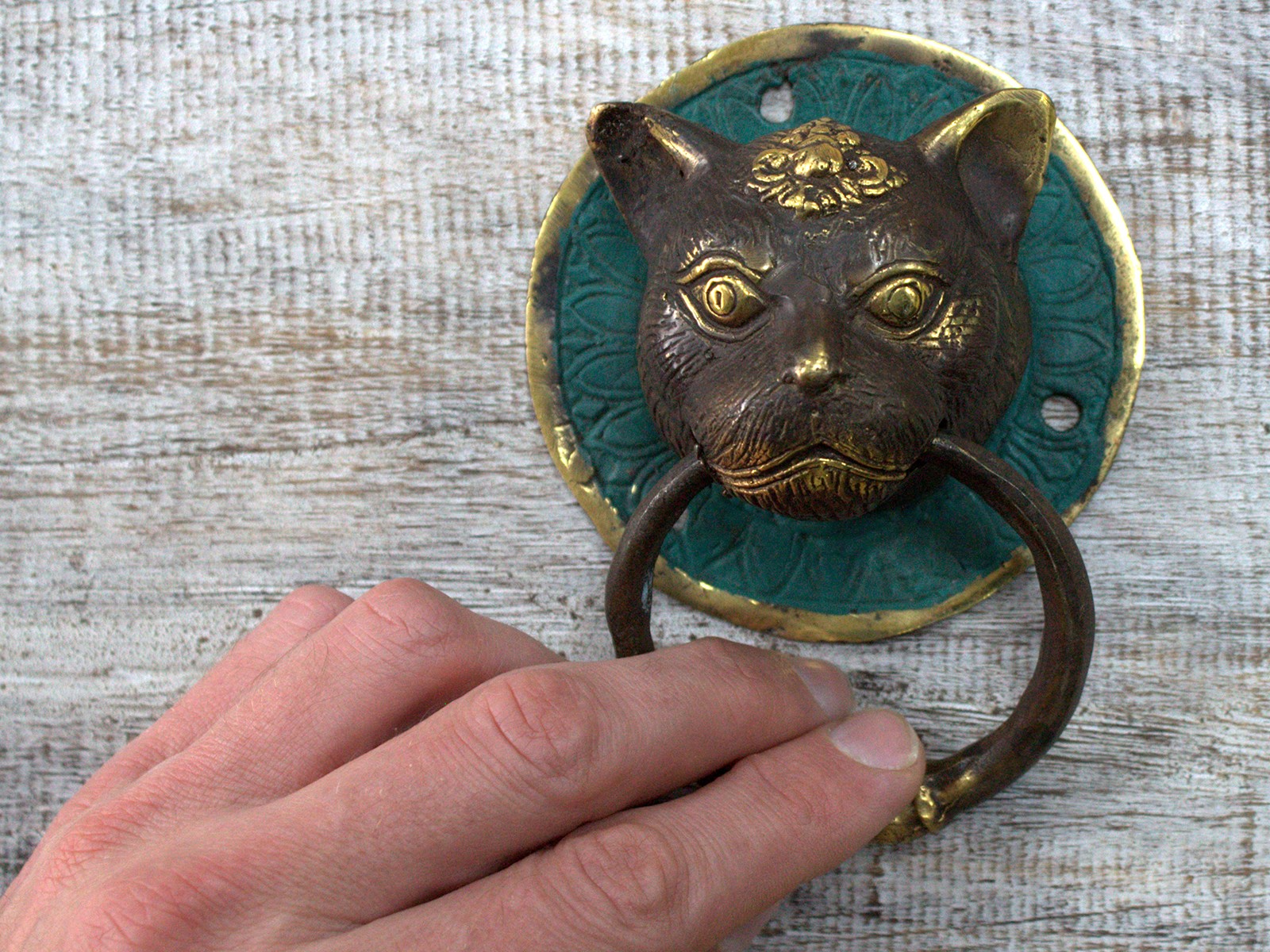 Wholesale Brass Door Knocker Cats Head Ancient Wisdom Giftware Supplier