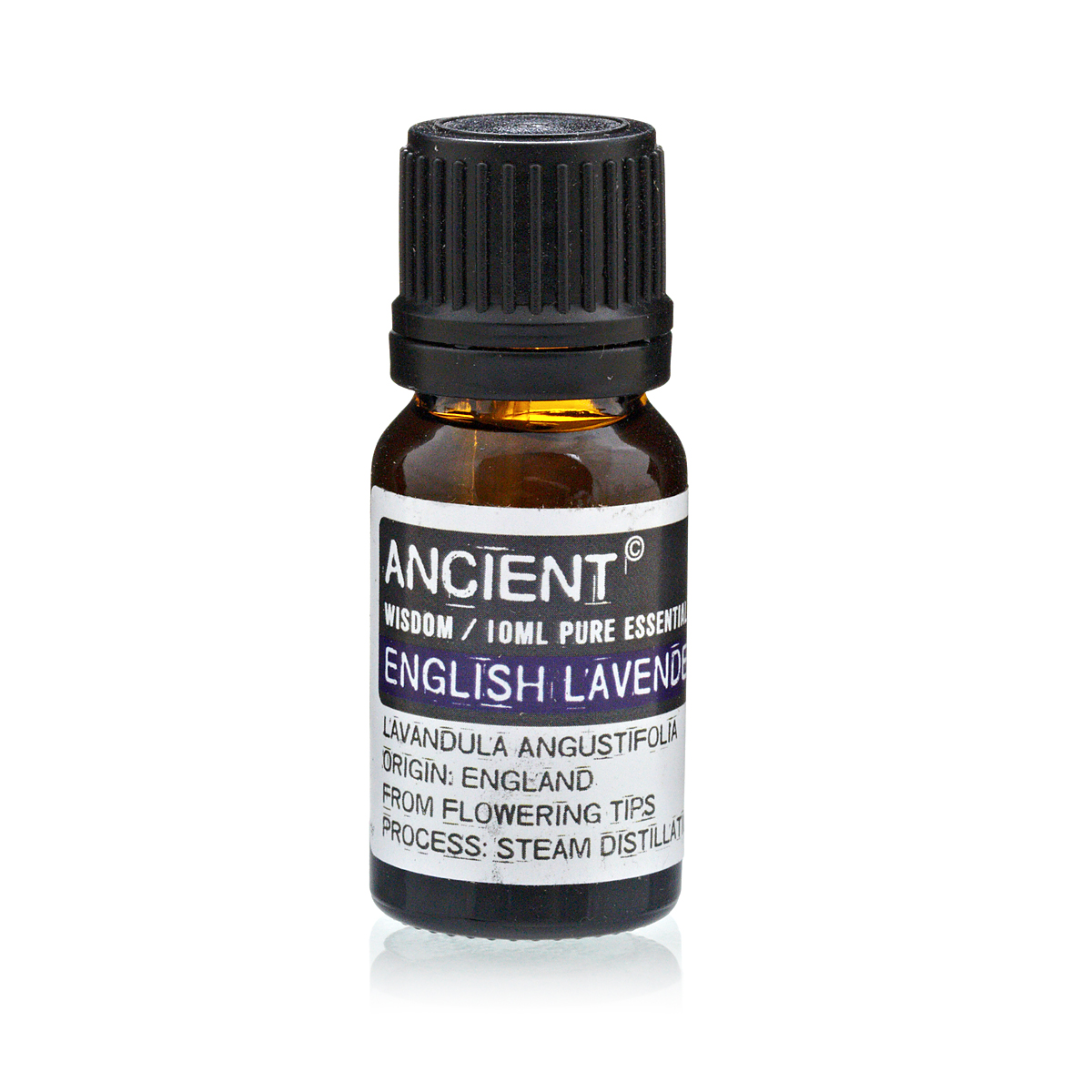 Wholesale English Lavender Essential Oil 10ml Ancient Wisdom Giftware