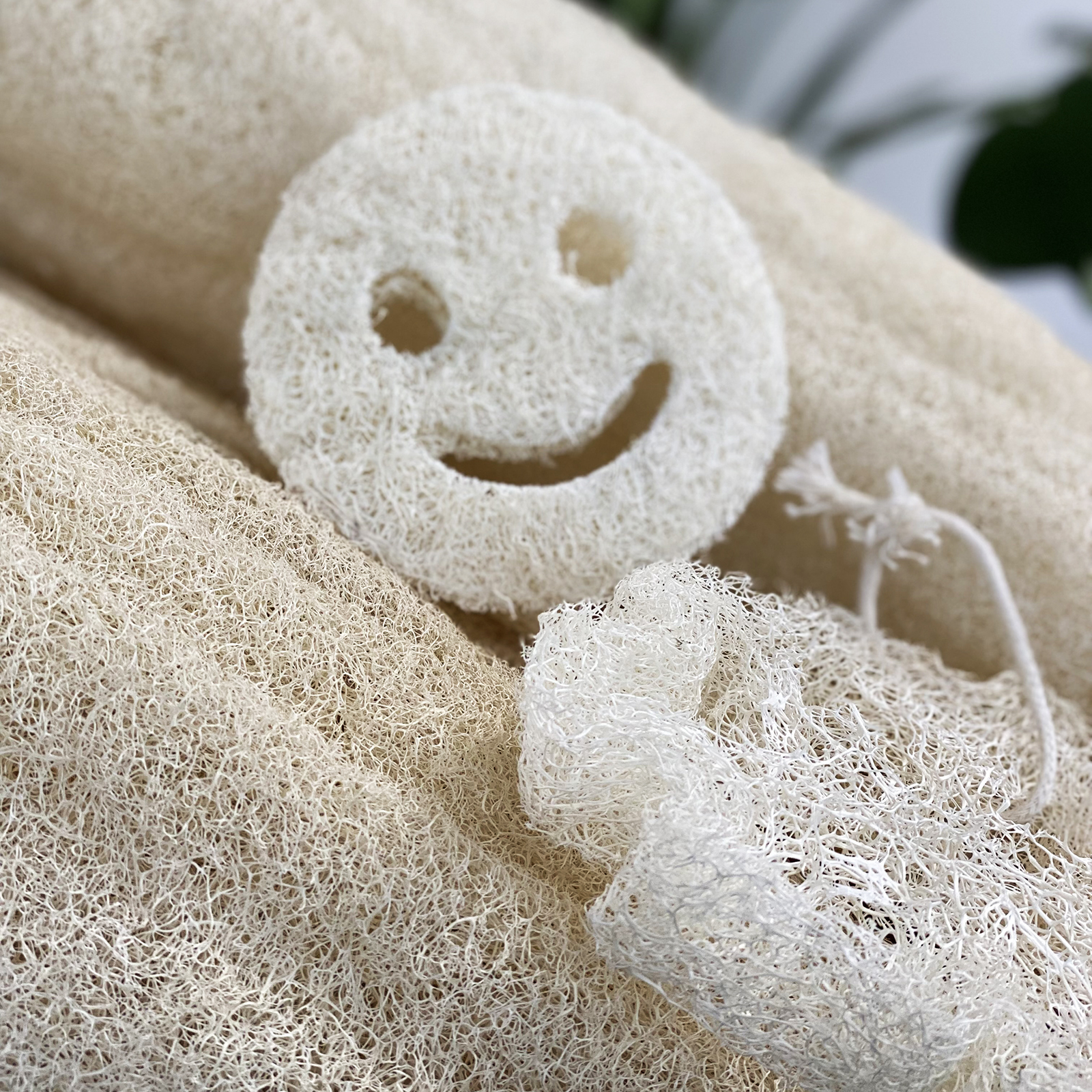 Wholesale Egyptian Luxury Loofah with Cotton String