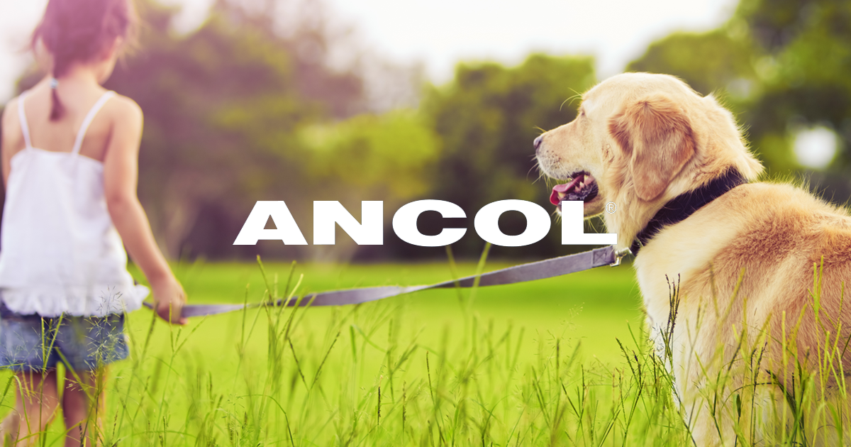 Ancol Pet Products Limited