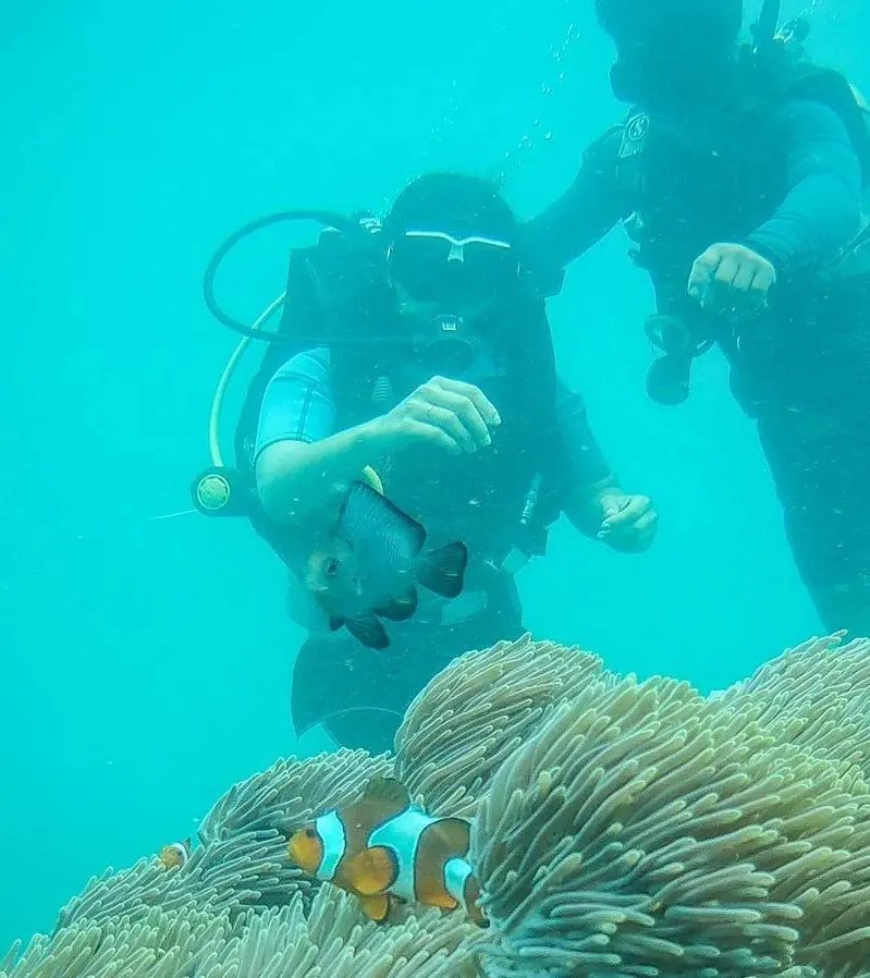 Scuba Diving in Andaman AndamanTourPackage.IN