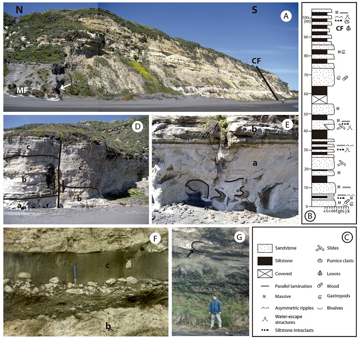 Comment on Reply to Comment of Finger et al. (2013) on ‘Evidence for