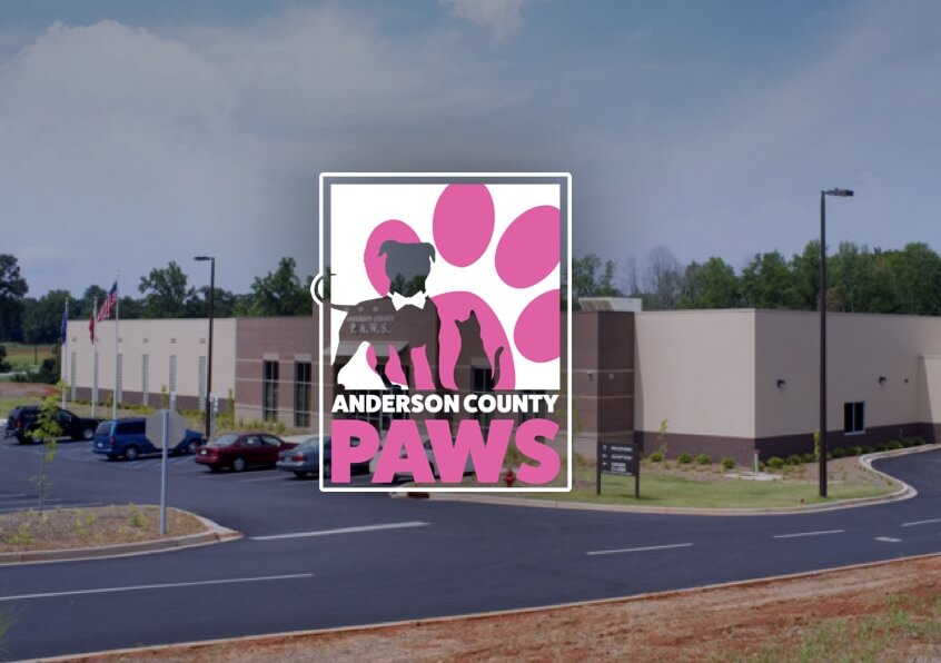 Anderson County P.A.W.S. PAWS Anderson County South Carolina