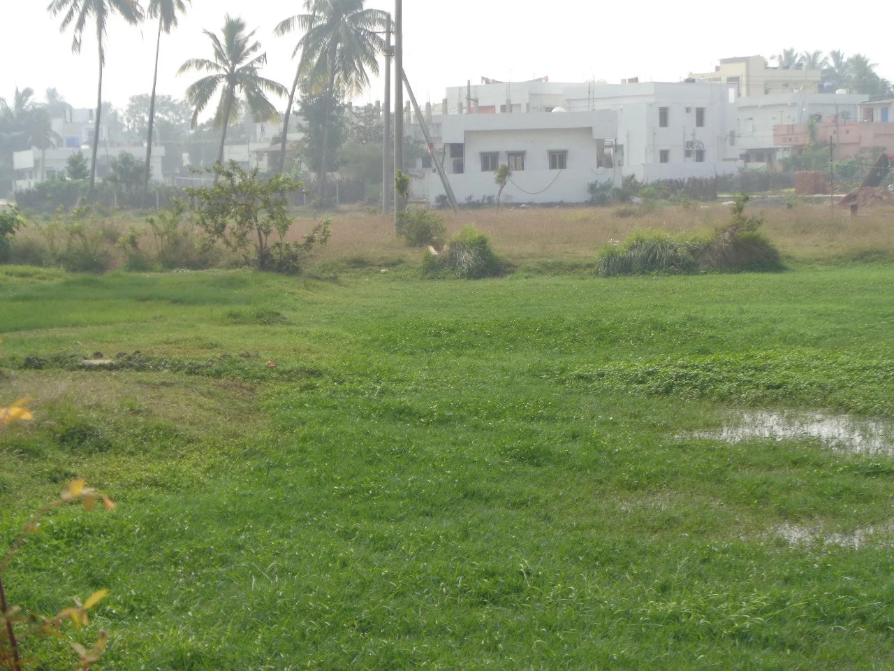 Residential Open Land for Sale at Nadakuduru, Near Kakinada