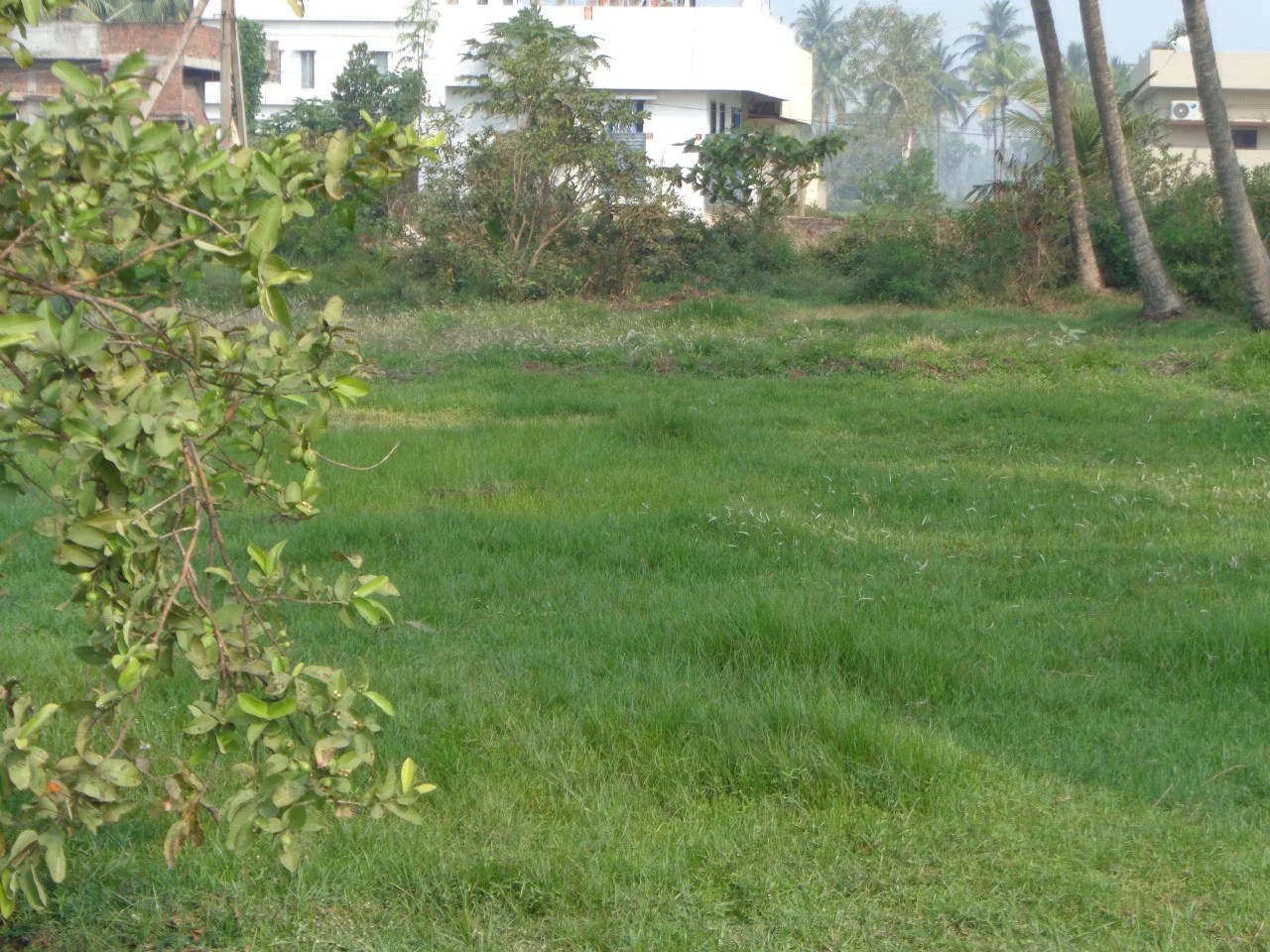 Residential Open Land for Sale at Nadakuduru, Near Kakinada