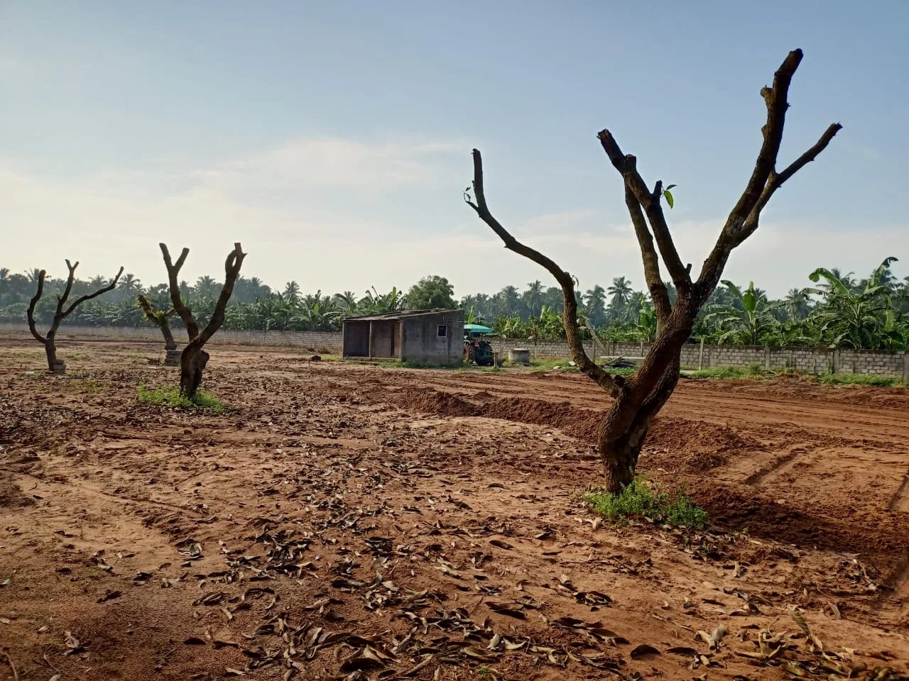 Duplex, Individual Houses & Villas For Sale at Hukumpeta, Rajahmundry.