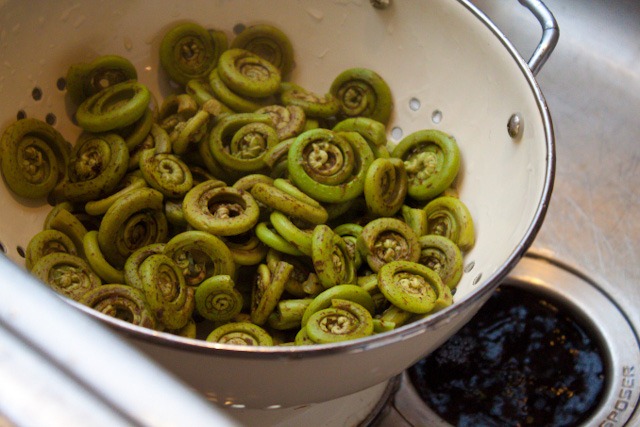 Pickled Fiddlehead Ferns