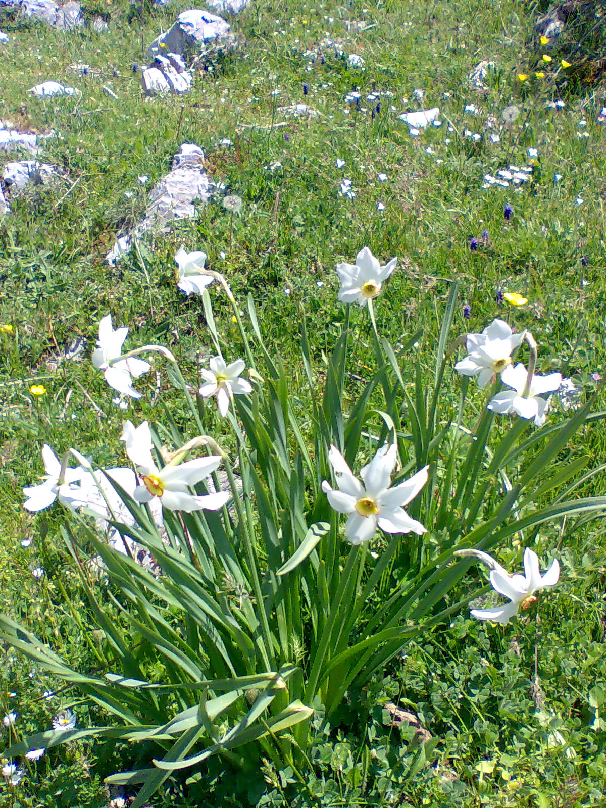 Maggio « 2011 « Andrea Mariotti