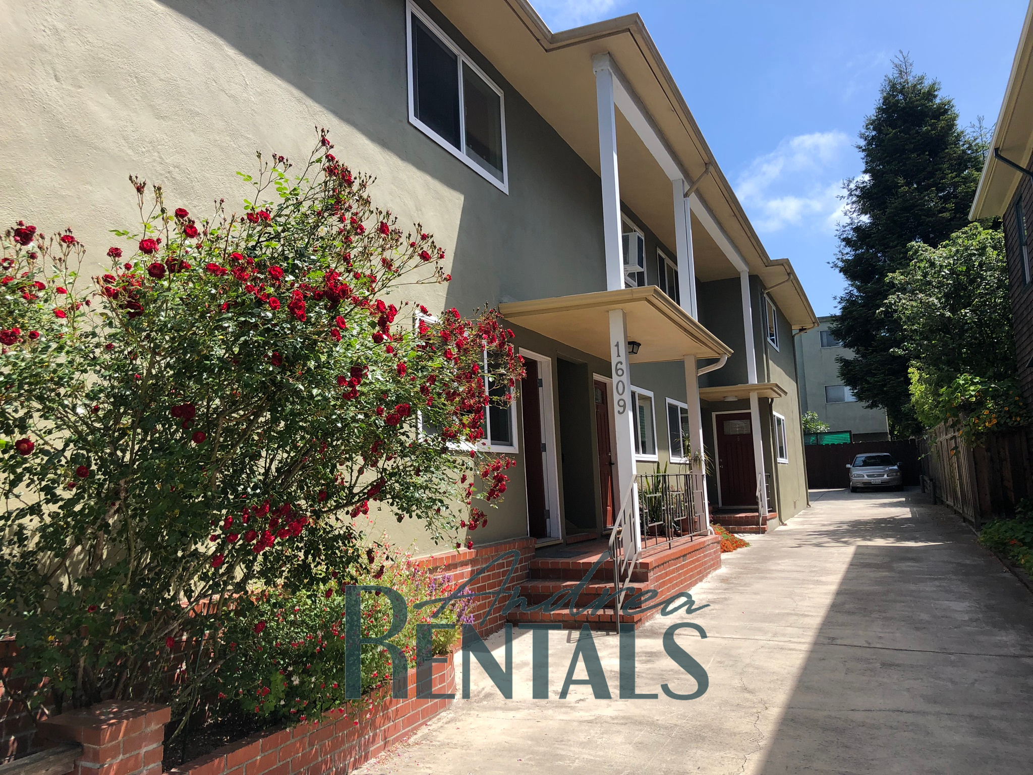 2 Bedroom / 1 Bathroom Apartment Walking Distance to UC Berkeley