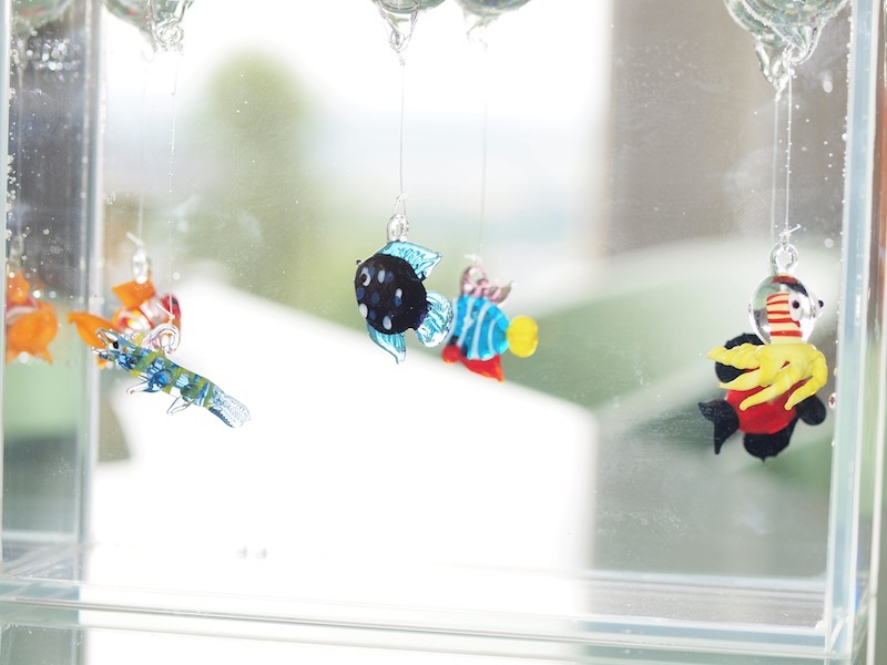 Murano Glasfische Meerwasser Aquarium Blog 2015 Fotos Tipps und Tricks