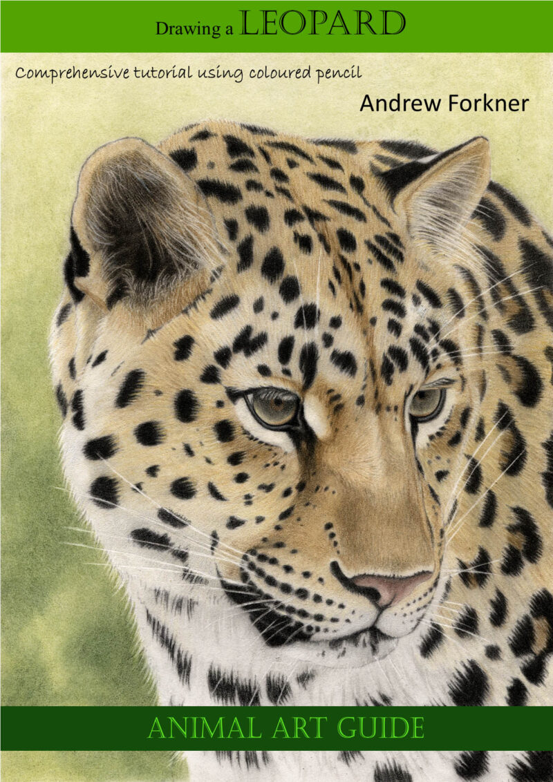 Drawing A Leopard Step By Step Comprehensive Tutorial Using Coloured