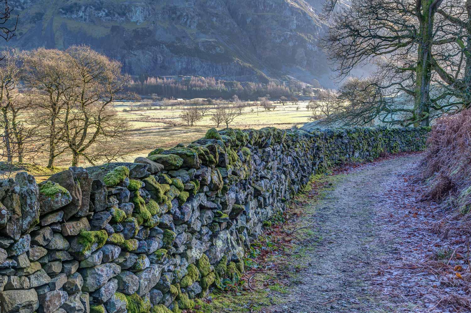 High Rigg walk walks near Keswick Lake District walks