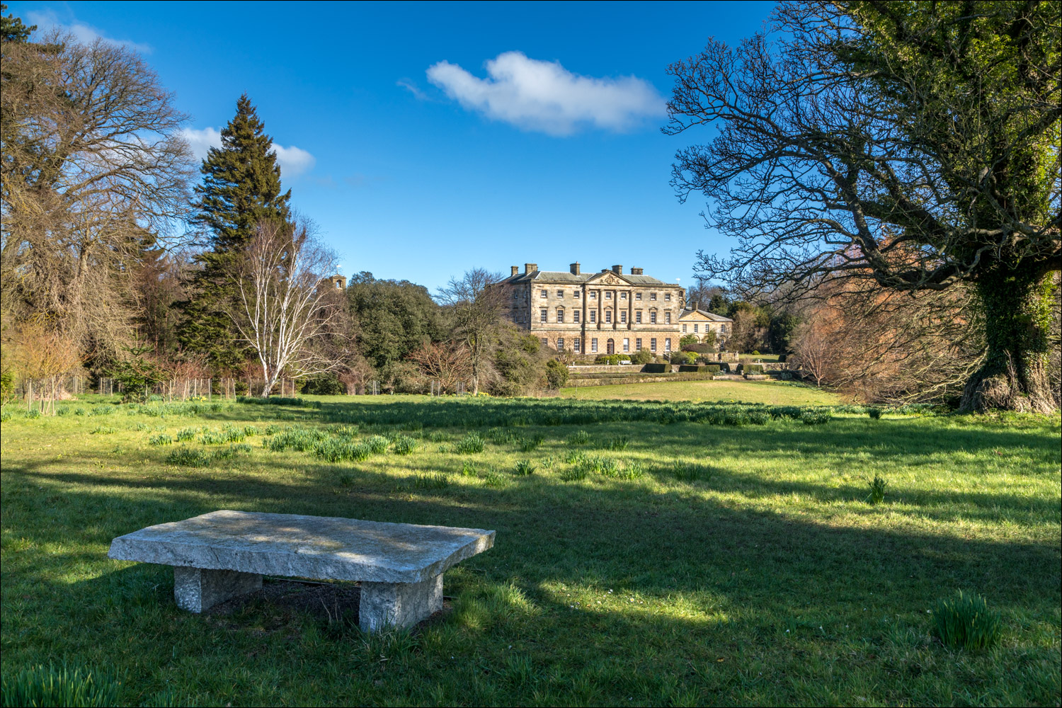 Howick Hall walk Howick Hall Gardens Northumberland walks