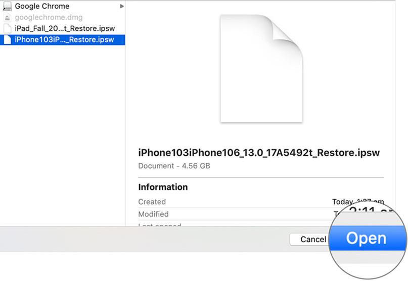 How To Open Dmg On Ipad