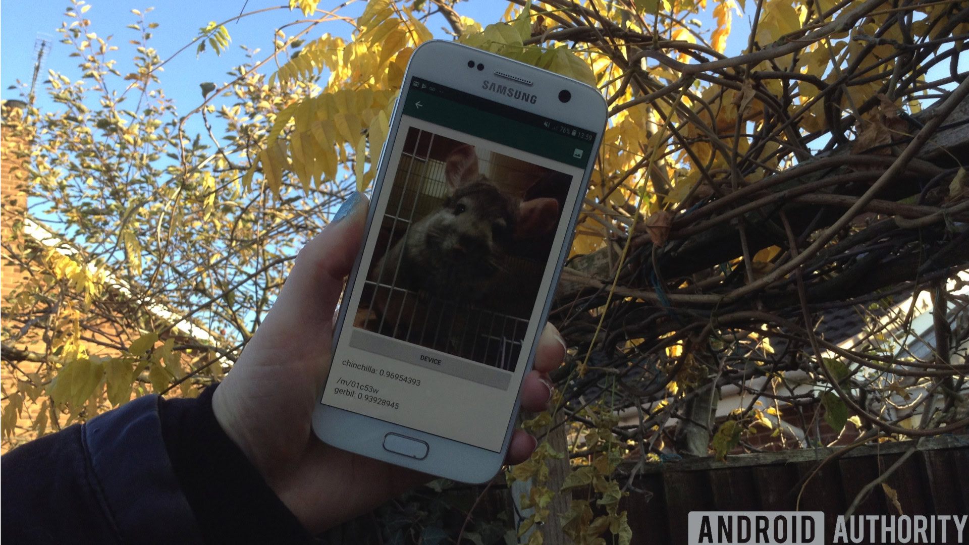 ml kit image labeling