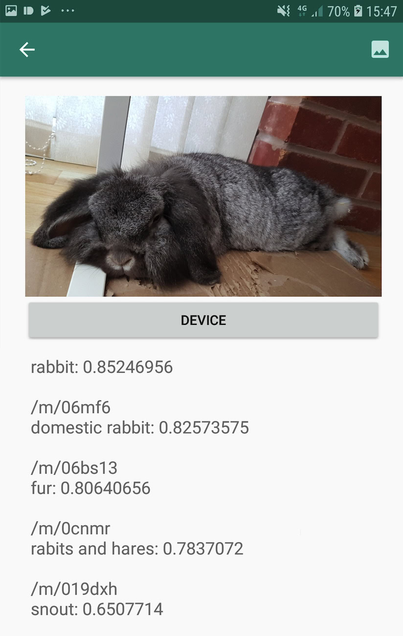 image labeling entity found