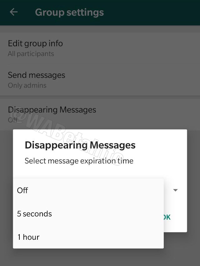 WhatsApp’s disappearing messages feature.