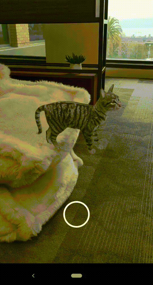 ARCore Depth API Off