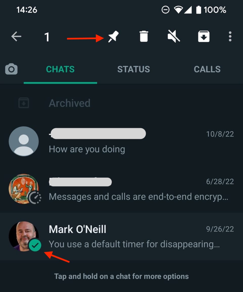 How to pin a chat in WhatsApp and why you'd want to Android Authority