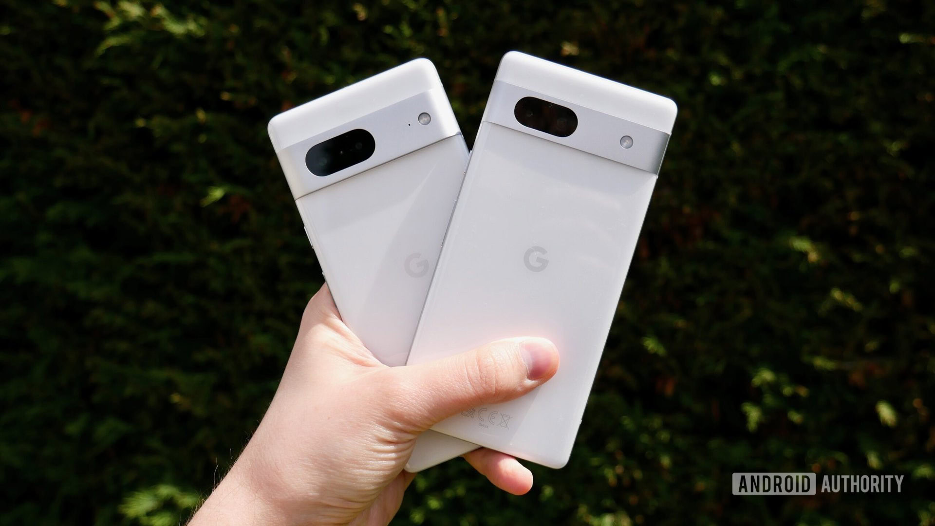 Google Pixel 7a vs Pixel 7 Which is the better budget buy?