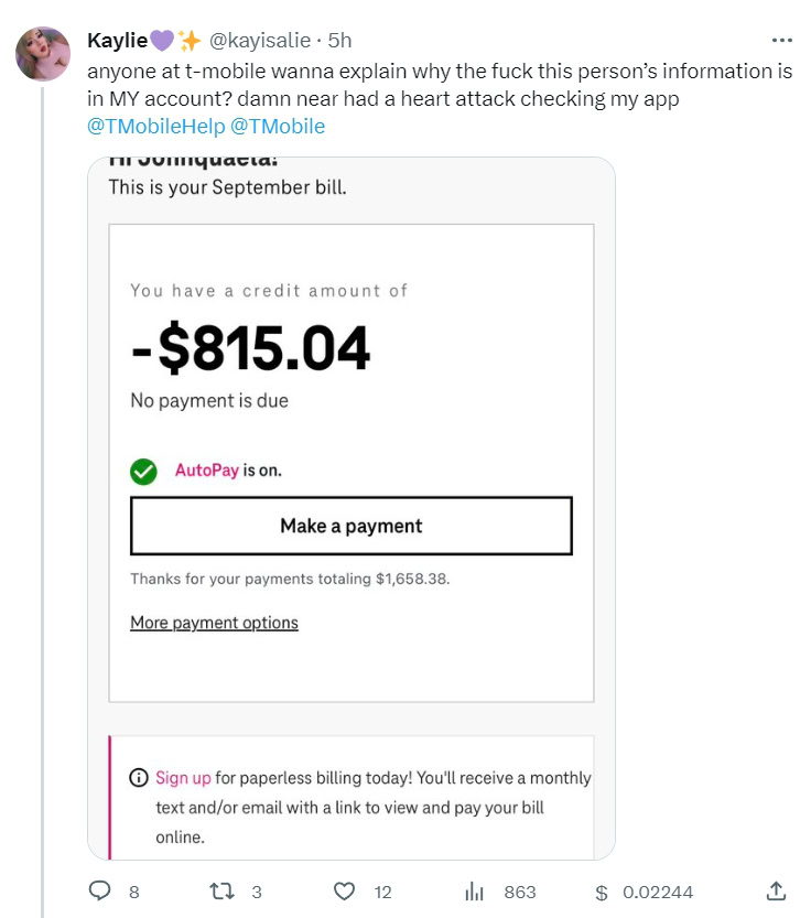 TMobile blames latest data leak on 'temporary system glitch'