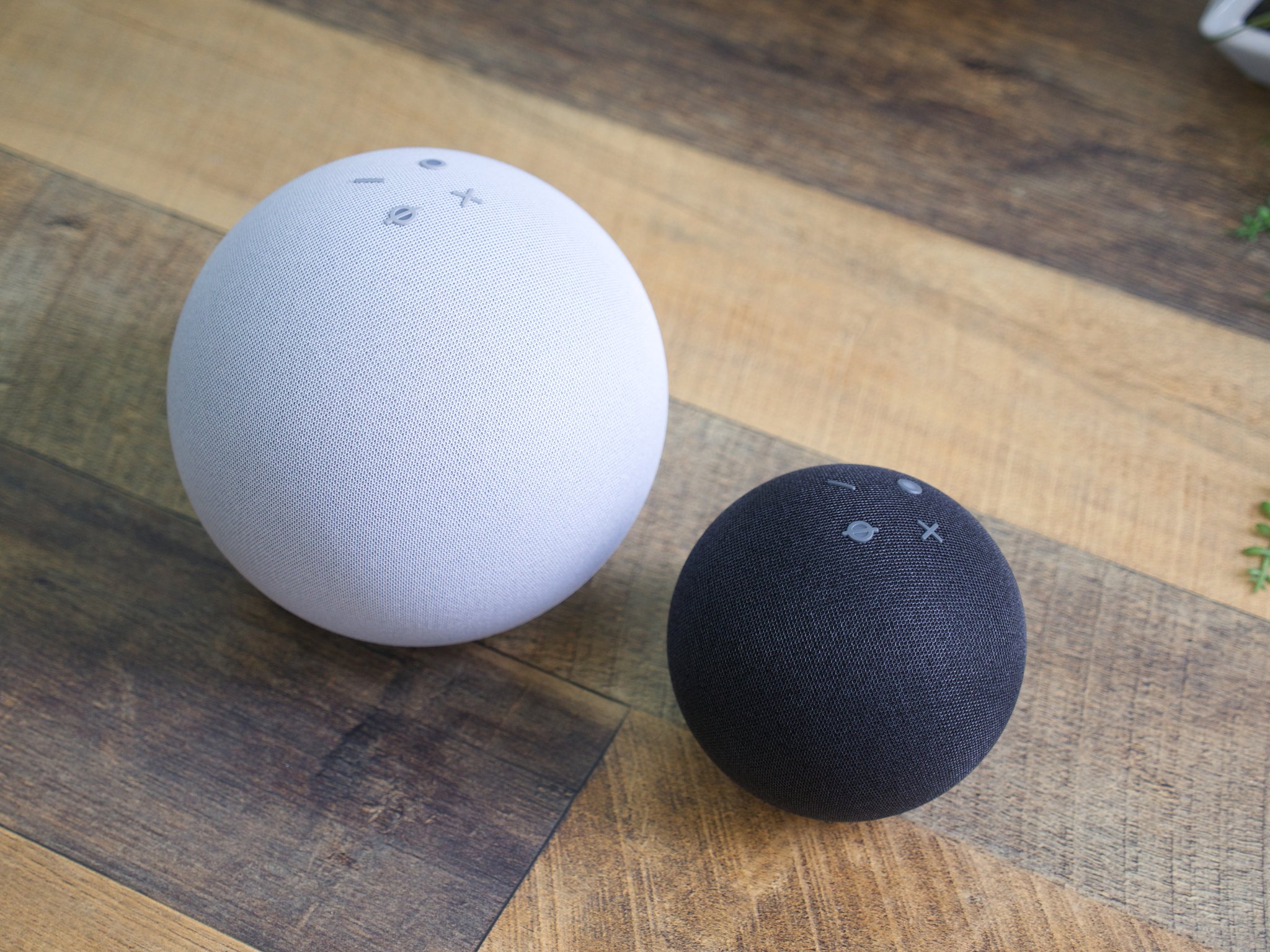 Amazon Echo vs. Echo Dot Which should you buy? Android Central