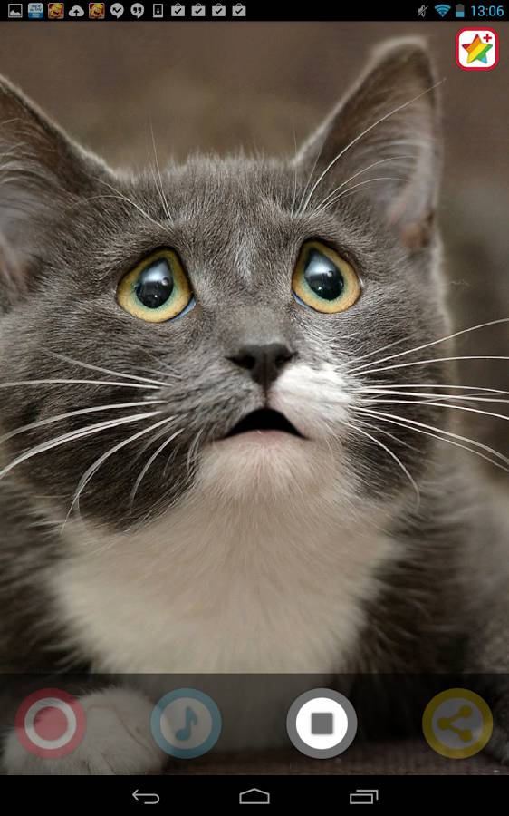 Sponsored App Review My Talking Pet