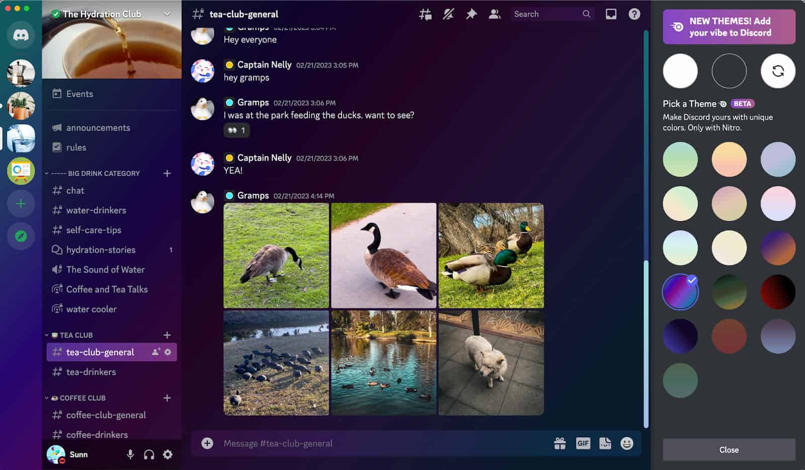 Discord adds colorful themes to the desktop app LaptrinhX