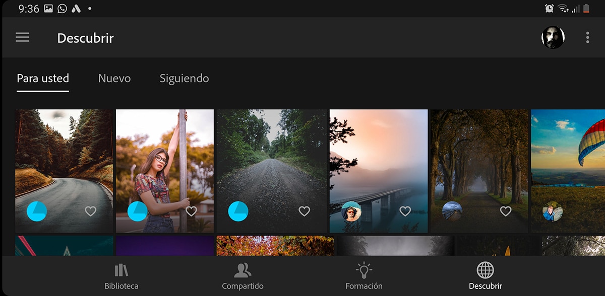 Adobe lightroom 6 demo comforttide
