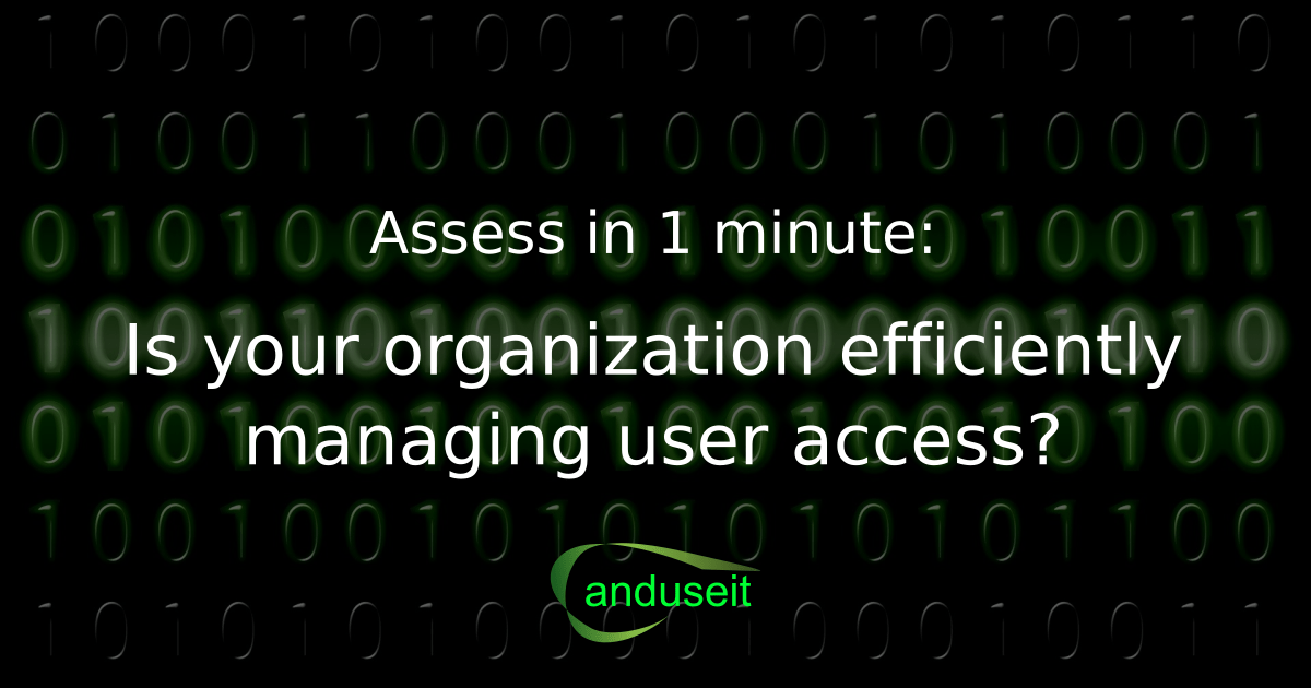 Is your organization efficiently managing user access? Anduseit