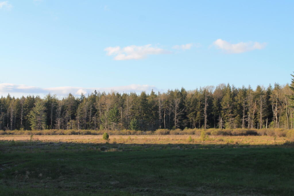 BurntRossman State Forest Maps, Photos, Videos, Aerial Photography