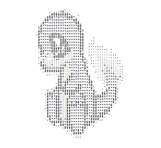 40+ Most Epic ASCII Art