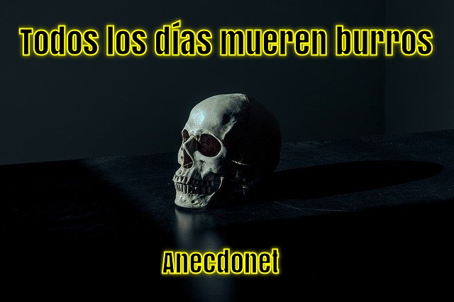 Anécdotas sobre Muerte Anécdotas y más cosas